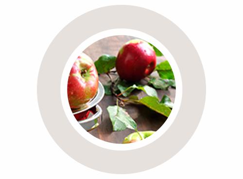 rynkeby økologisk juice 